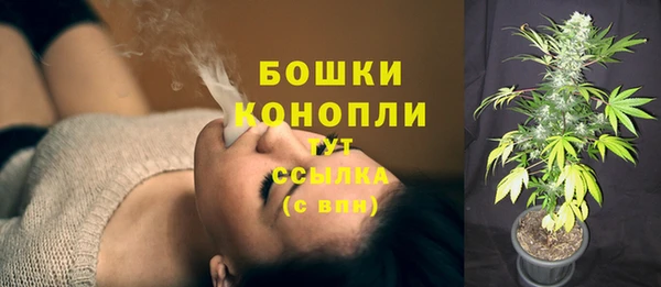 мдпв Верхний Тагил