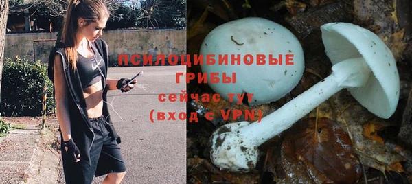 мдпв Верхний Тагил