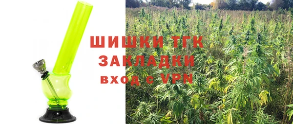 мдпв Верхний Тагил