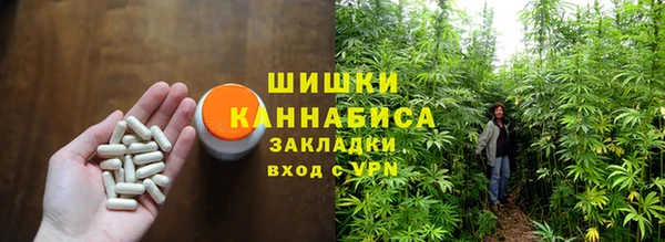 мдпв Верхний Тагил