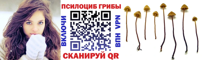 Псилоцибиновые грибы мицелий Барнаул
